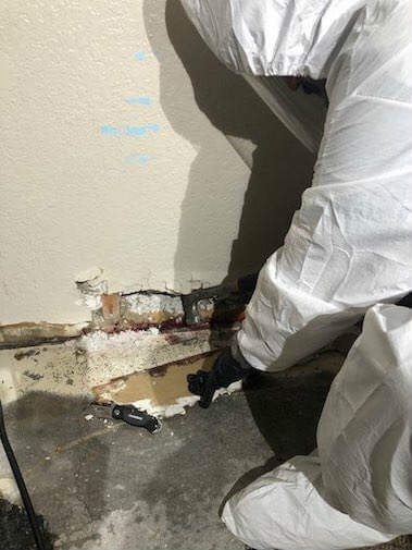 Homicide Clean Up Services Companies